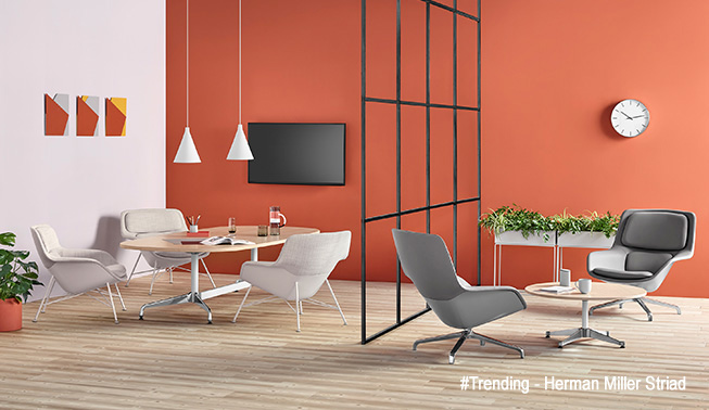 Trending - Herman Miller Striad